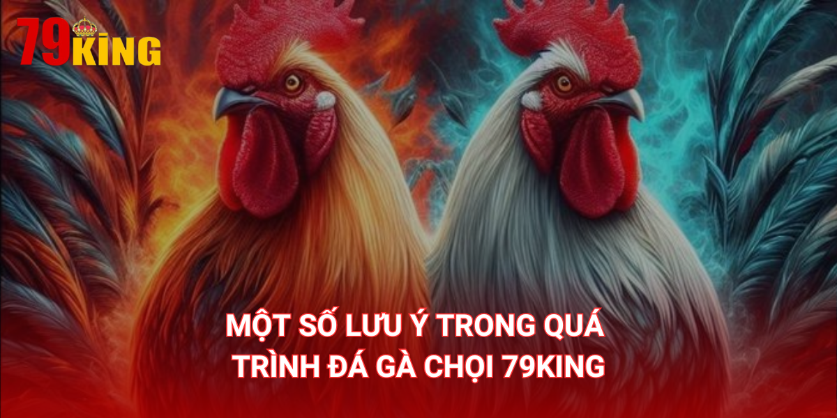 Một số lưu ý trong quá trình đá chọi