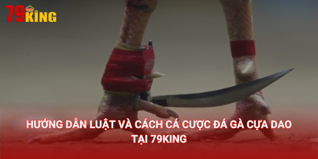 Hướng dẫn luật và cách cá cược đá gà cựa dao tại 79King