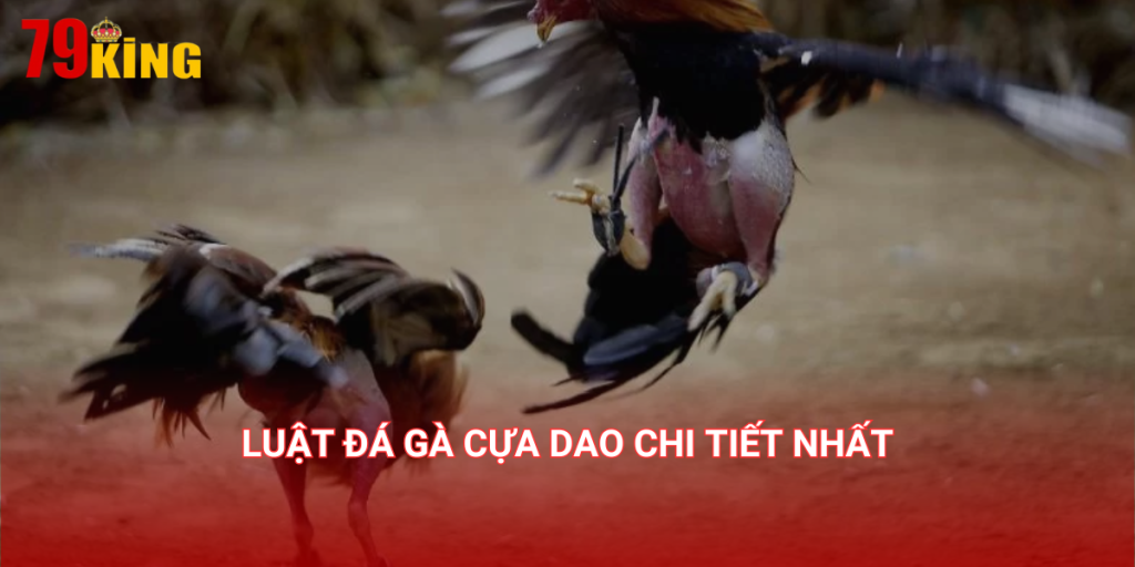 Luật đá gà cựa dao chi tiết nhất