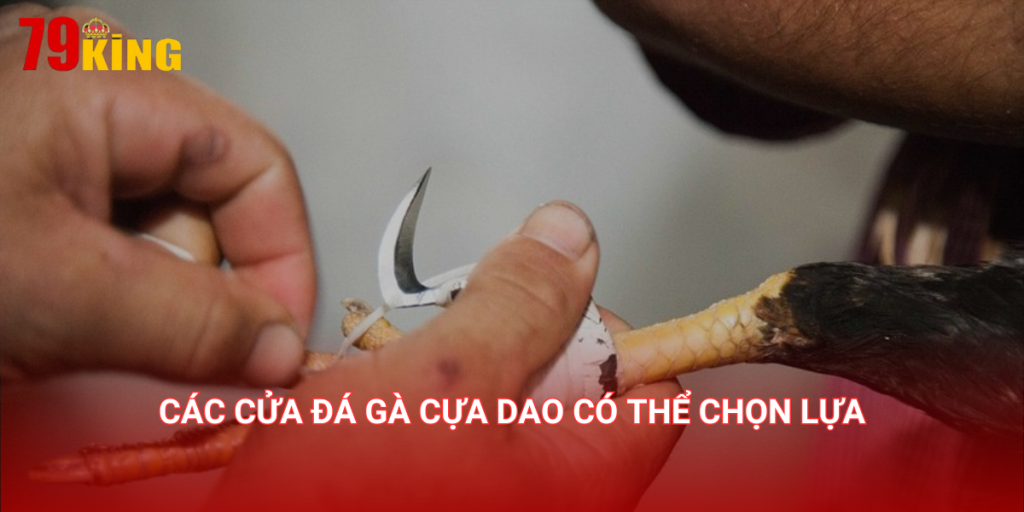 Các cửa đá gà cựa dao có thể chọn lựa